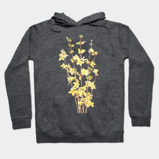 yellow forsythia watercolor Hoodie